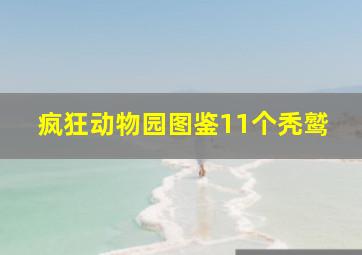 疯狂动物园图鉴11个秃鹫