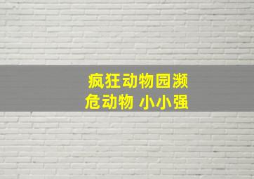 疯狂动物园濒危动物 小小强