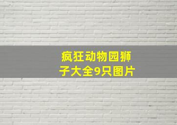 疯狂动物园狮子大全9只图片