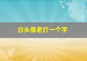 白头偕老打一个字