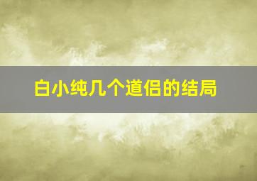 白小纯几个道侣的结局