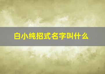 白小纯招式名字叫什么