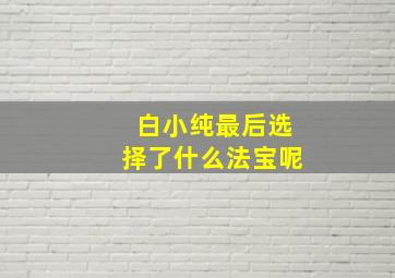 白小纯最后选择了什么法宝呢