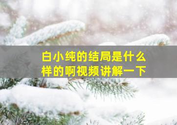 白小纯的结局是什么样的啊视频讲解一下