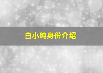 白小纯身份介绍