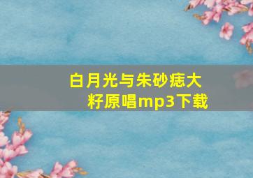 白月光与朱砂痣大籽原唱mp3下载