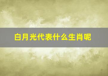 白月光代表什么生肖呢