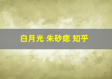 白月光 朱砂痣 知乎