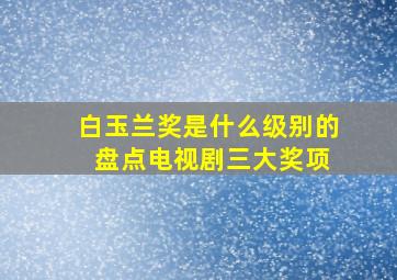 白玉兰奖是什么级别的 盘点电视剧三大奖项