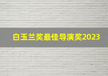 白玉兰奖最佳导演奖2023