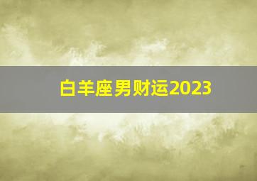 白羊座男财运2023