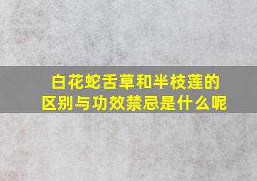 白花蛇舌草和半枝莲的区别与功效禁忌是什么呢