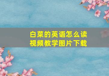 白菜的英语怎么读视频教学图片下载