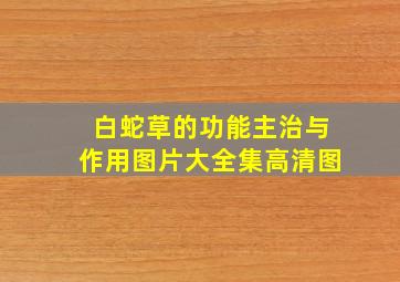 白蛇草的功能主治与作用图片大全集高清图