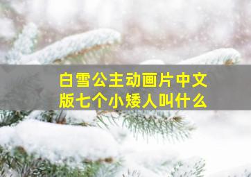 白雪公主动画片中文版七个小矮人叫什么