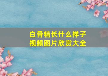 白骨精长什么样子视频图片欣赏大全