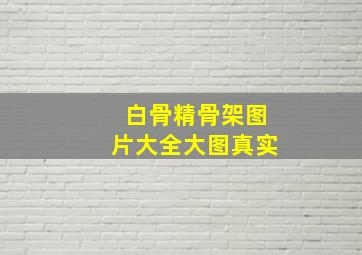 白骨精骨架图片大全大图真实