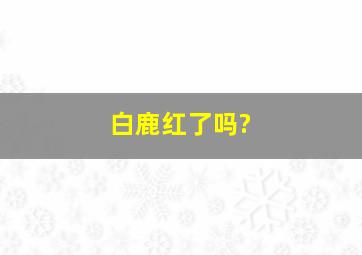 白鹿红了吗?