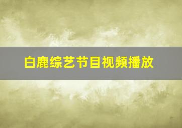 白鹿综艺节目视频播放