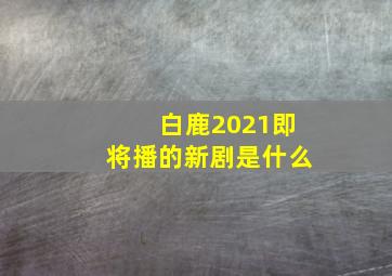 白鹿2021即将播的新剧是什么