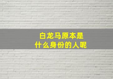 白龙马原本是什么身份的人呢