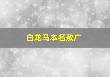 白龙马本名敖广