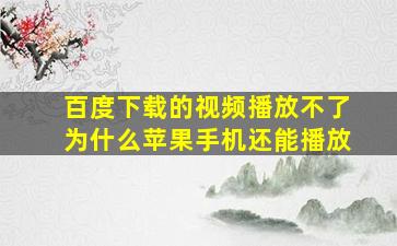 百度下载的视频播放不了为什么苹果手机还能播放