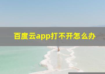 百度云app打不开怎么办