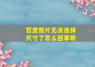 百度图片无法选择尺寸了怎么回事啊