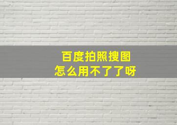 百度拍照搜图怎么用不了了呀