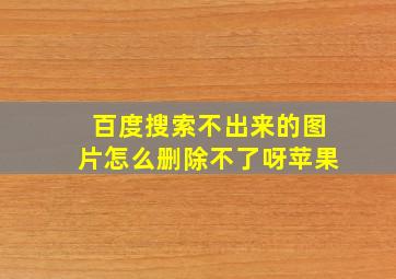 百度搜索不出来的图片怎么删除不了呀苹果