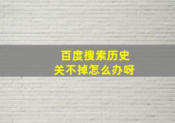 百度搜索历史关不掉怎么办呀