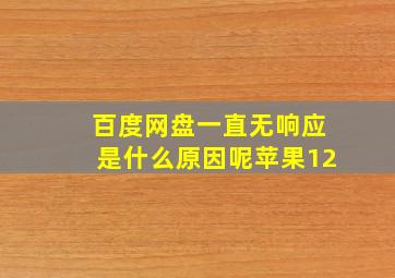 百度网盘一直无响应是什么原因呢苹果12