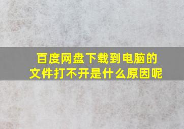 百度网盘下载到电脑的文件打不开是什么原因呢