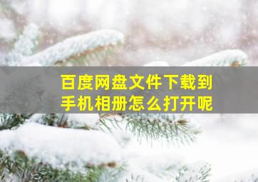 百度网盘文件下载到手机相册怎么打开呢