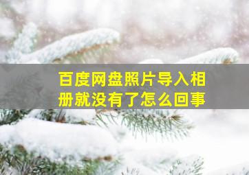 百度网盘照片导入相册就没有了怎么回事