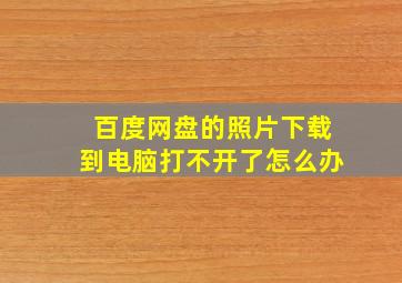 百度网盘的照片下载到电脑打不开了怎么办