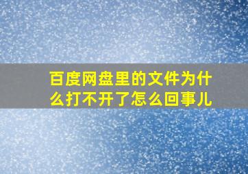 百度网盘里的文件为什么打不开了怎么回事儿