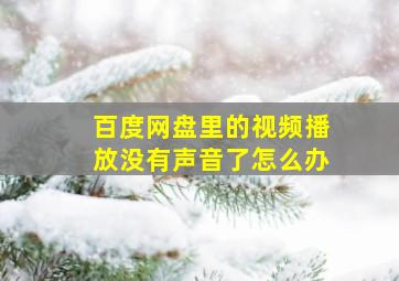 百度网盘里的视频播放没有声音了怎么办