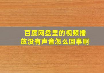 百度网盘里的视频播放没有声音怎么回事啊