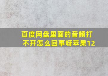 百度网盘里面的音频打不开怎么回事呀苹果12