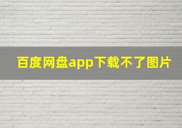 百度网盘app下载不了图片