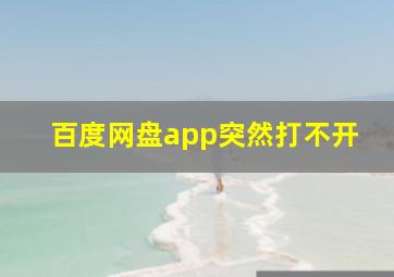 百度网盘app突然打不开