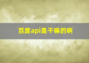 百度api是干嘛的啊