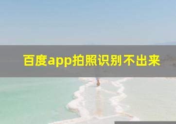 百度app拍照识别不出来