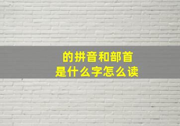 的拼音和部首是什么字怎么读