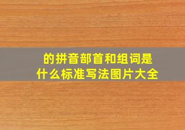 的拼音部首和组词是什么标准写法图片大全