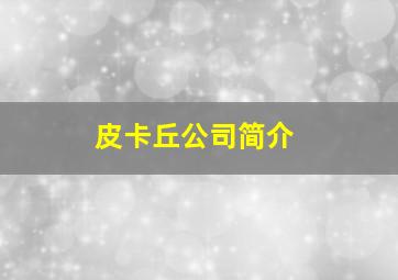 皮卡丘公司简介