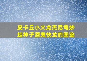 皮卡丘小火龙杰尼龟妙蛙种子酒鬼快龙的图鉴