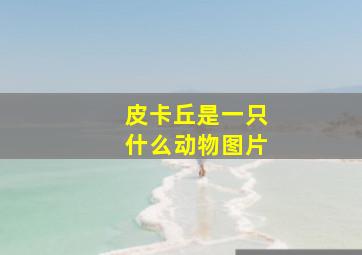 皮卡丘是一只什么动物图片